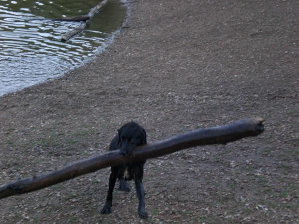 /Images/uploads/Humane Society of Utah/HSUCalendar/entries/964thumb.jpg